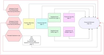 Examination of promotive and protective effects on early adolescent prosocial behavior through a bioecological lens